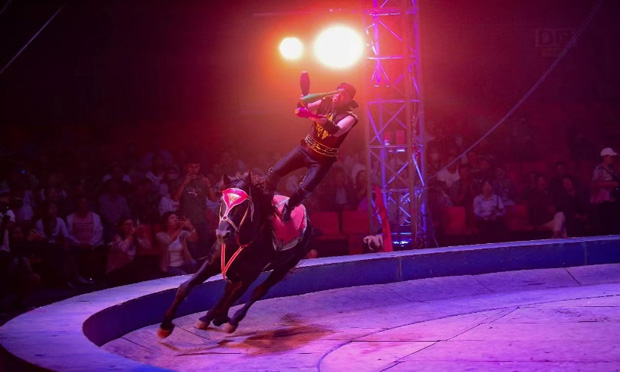 image007.jpg image007.jpg