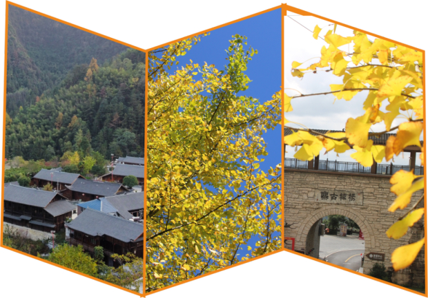 640 (3).jpg 640 (3).jpg